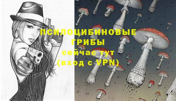 MDMA Алексин