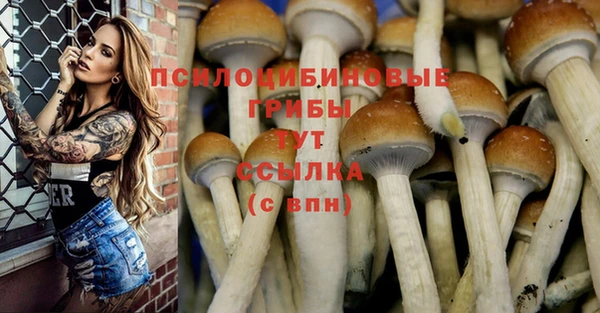 мет Абаза