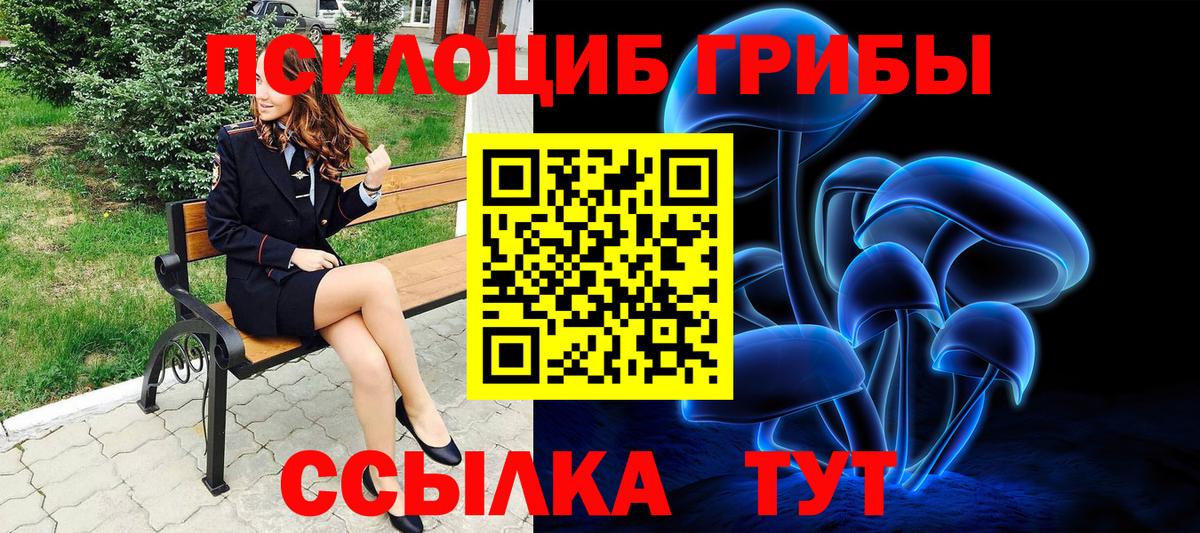 Псилоцибиновые грибы GOLDEN TEACHER Симферополь